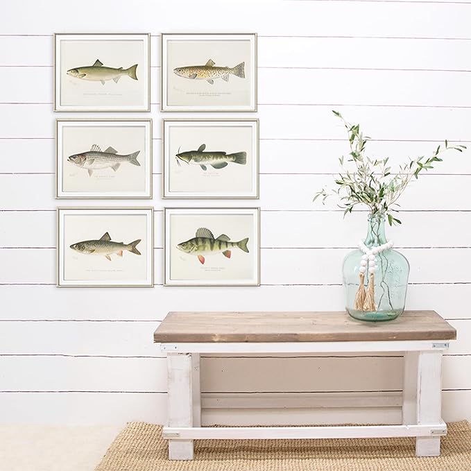 Fish Wall Art Prints (Set of 6) - Unframed - 11x14s | Vibrant and Captivating Oceanic Decor | Coastal-themed Wall Decor | Living Room Decor | Farmhouse Decor | Bathroom Wall Decor | Home Decor