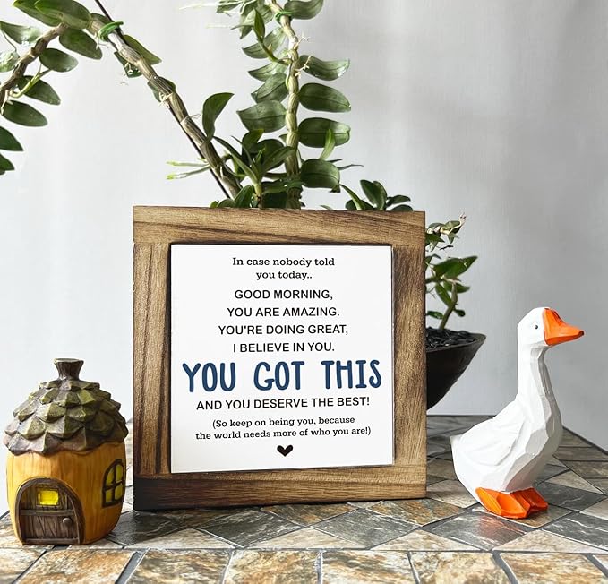 Inspirational Sign, Box Wood Plaques Desk Décor, Decorative Sign Table Decor, Affirmation Wood Plaque, Office Gift, Gift for Coworker Friends Family Kids, You Got This and Deserve the Best Sign