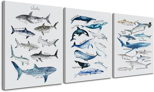 Nogrit Shark Decor: 16x24 Inch Canvas Wall Art Set of 3, Perfect for Bathroom, Home, Classroom, Library, Dorm - Whale Shark Gift for Lovers, Students, Kids, Teens