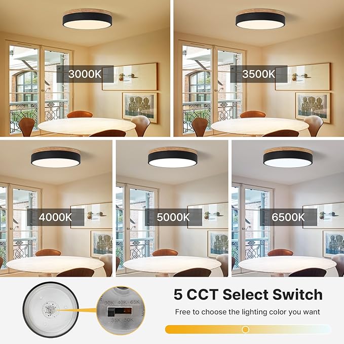 Led Flush Mount Ceiling Light: 11.8" Dimmable 5CCT Overhead Ceiling Lighting Fixture - Morden Black Round Close to Ceil Lights - Flat Wood Minimalist Light Fixtures for Living Room Laundry Bedroom