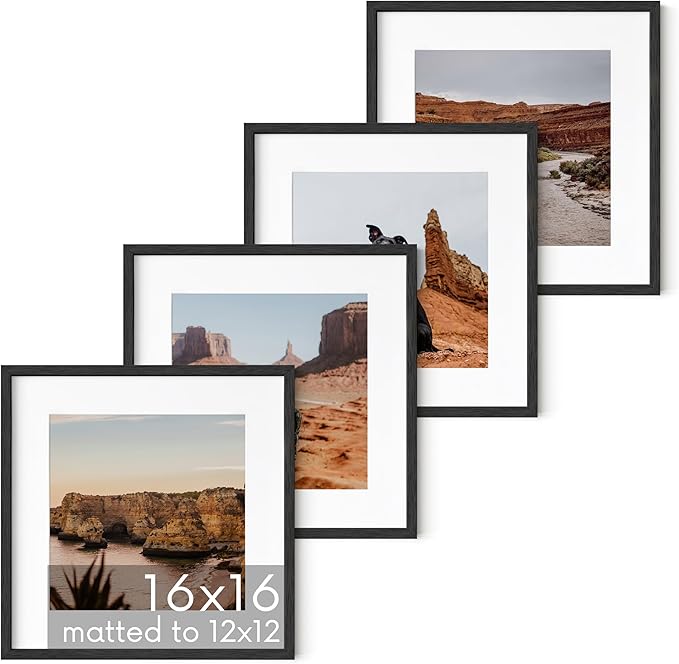 HAUS AND HUES Black Square Frames Set of 4-16x16