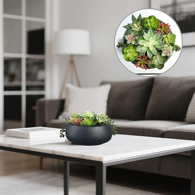 Artificial Succulent Plants Fake Potted Indoor with Ceramic Pot - Home Office, Bedroom, Bathroom Decor - Low Maintenance Desk Plants for Coffee Table & Room Aesthetics（Black）