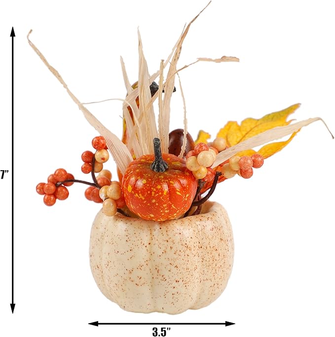 winemana Fall Decorations for Home - Set of 6 Artificial Pumpkin, Berry & Pine Cone Table Centerpiece for Office, Thanksgiving, Bathroom Kitchen Autumn Decor