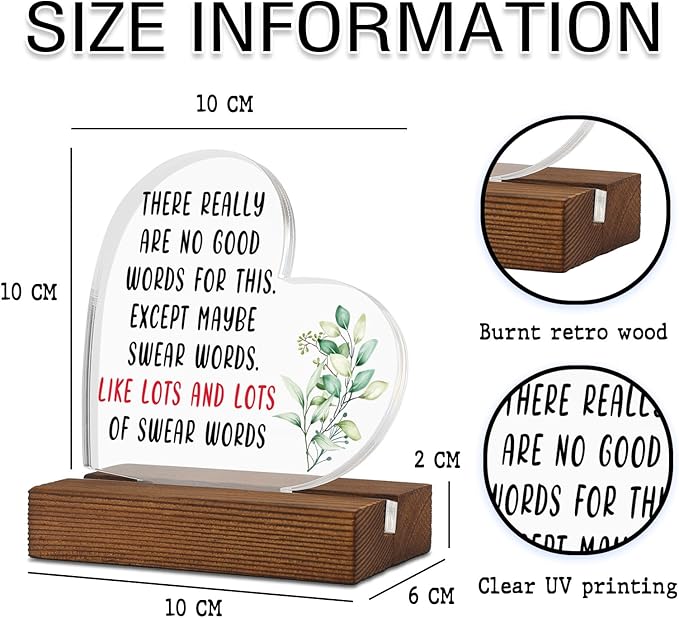 Humor Encouragement Get Well Gift for Him Her,THERE REALLYARE NO GOWORDS FOR THIS.EXCEPT MAYBE, Home Office Decor Acrylic Sign Plaque XA328