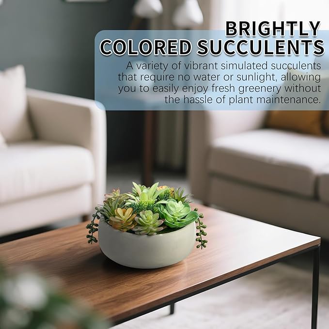 8 Inch Round Artificial Succulent Plants Potted Indoor with Ceramic Pot - Fake Low Maintenance Plants for Bedroom, Bathroom, Coffee Table Decor - Home Office Desk & Room Aesthetics