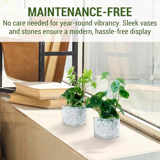 MyGift Artificial Clover and Taro Plants in Clear Glass Vase with Decorative White Stones, Set of 3