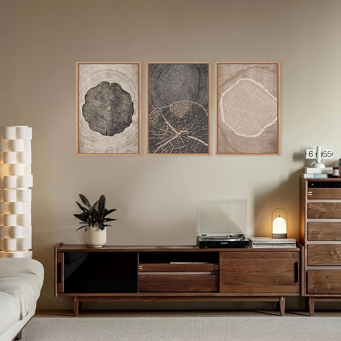 HOURIA Neutral Brown Tree Rings Framed Canvas Wall Art Set,Modern Beige Tan Wood Stump Wall Decor,Vintage Abstract Tree Spiral Art Print,Nature Black Artwork for Living Room,Bedroom,Office- 16"x24"x3