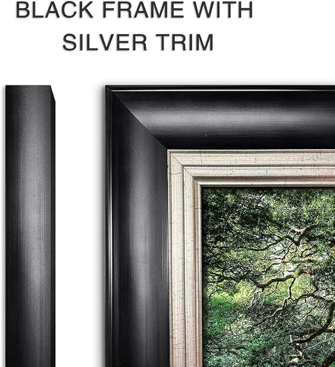 Framed Forest Canvas Wall Art: Nature Green Tree Painting Sunlight Plants Scenery Prints for Living Room