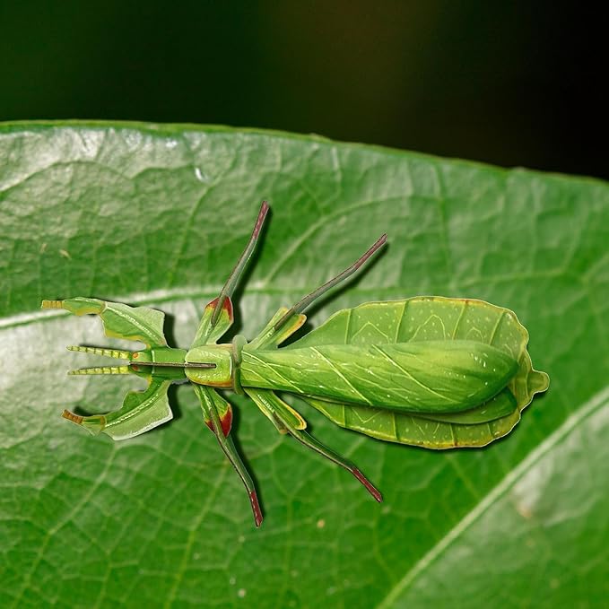 STEM 3D Paper Puzzles Fidget Toys and Sensory Toys for Kids and Toddlers - Autism and ADHD Educational Birthday Puzzles (Phyllium)