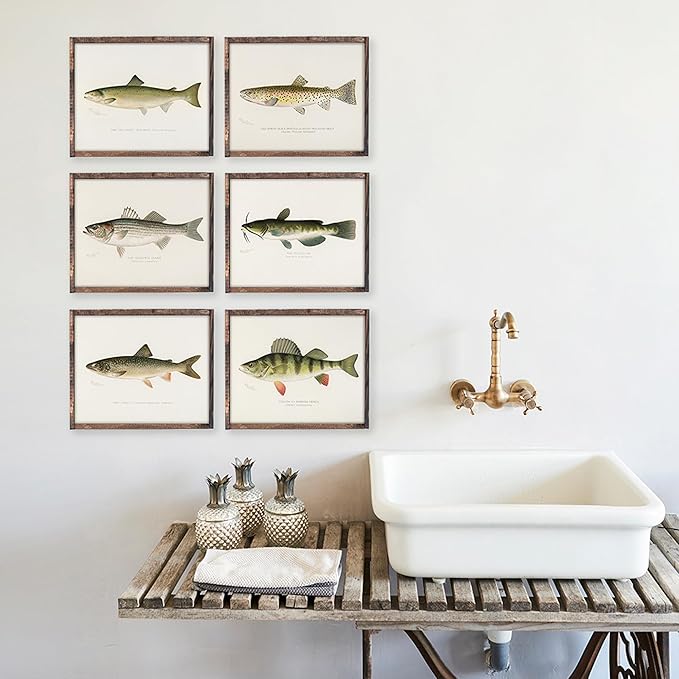 Fish Wall Art Prints (Set of 6) - Unframed - 11x14s | Vibrant and Captivating Oceanic Decor | Coastal-themed Wall Decor | Living Room Decor | Farmhouse Decor | Bathroom Wall Decor | Home Decor