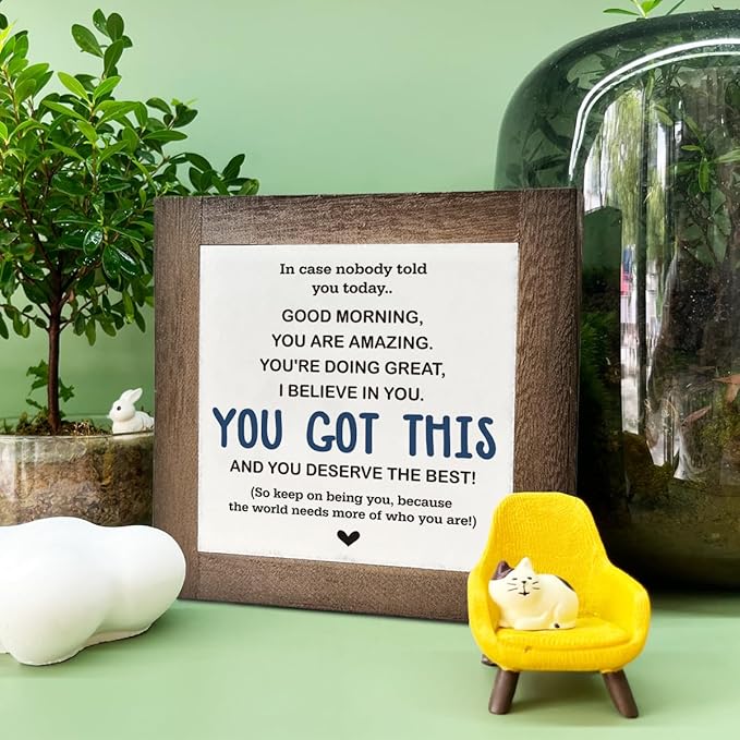Inspirational Sign, Box Wood Plaques Desk Décor, Decorative Sign Table Decor, Affirmation Wood Plaque, Office Gift, Gift for Coworker Friends Family Kids, You Got This and Deserve the Best Sign C1