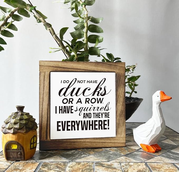 Funny Wood Plaque, Office & Home Decor - 'I Have Squirrels' Sign