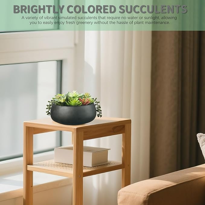 Artificial Succulent Plants Fake Potted Indoor with Ceramic Pot - Home Office, Bedroom, Bathroom Decor - Low Maintenance Desk Plants for Coffee Table & Room Aesthetics（Black）