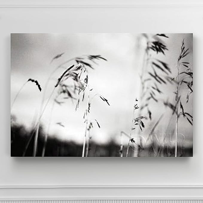 Renditions Gallery Canvas Wall Art Paintings & Prints Black & White Windy Wheat Fields Abstracr Nature Artwork for Living Room Kitchen Walls - 12"X18" LT08