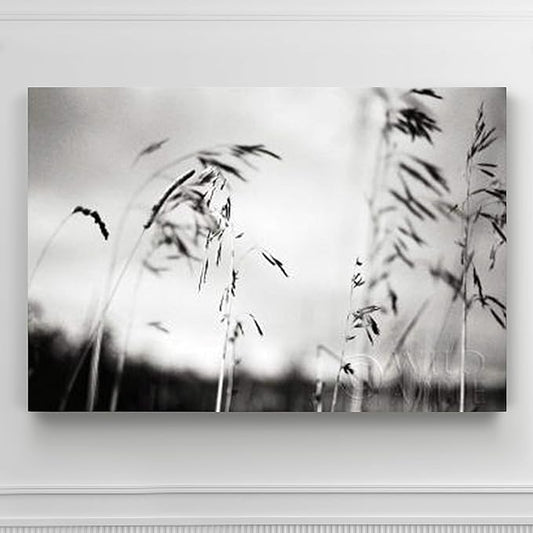 Renditions Gallery Canvas Wall Art Paintings & Prints Black & White Windy Wheat Fields Abstracr Nature Artwork for Living Room Kitchen Walls - 12"X18" LT08