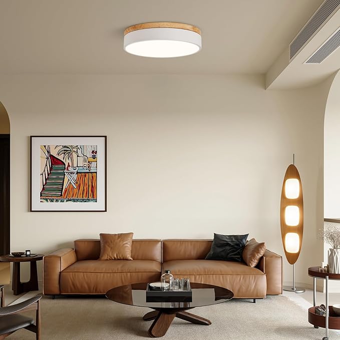 Led Flush Mount Ceiling Light: 11.8" Dimmable 5CCT Overhead Ceiling Lighting Fixture - Morden White Round Close to Ceil Lights - Flat Wood Minimalist Light Fixtures for Living Room Laundry Bedroom