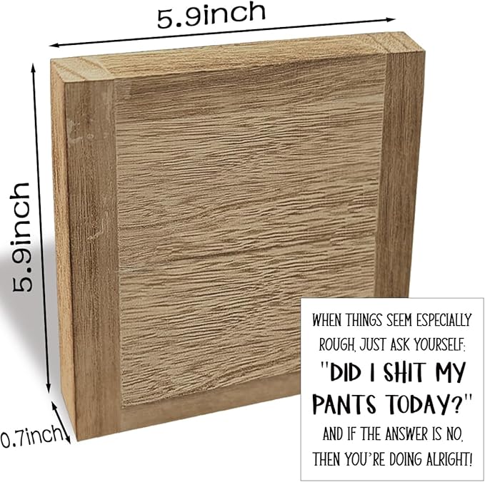 Funny Wood Box Sign, Did I Shit My Pants Today, Sarcastic Gift For Friends Colleague, Motivational Gift, Inspirational Wood Box Desktop Decoration, Funny Farmhouse Home Office Decor