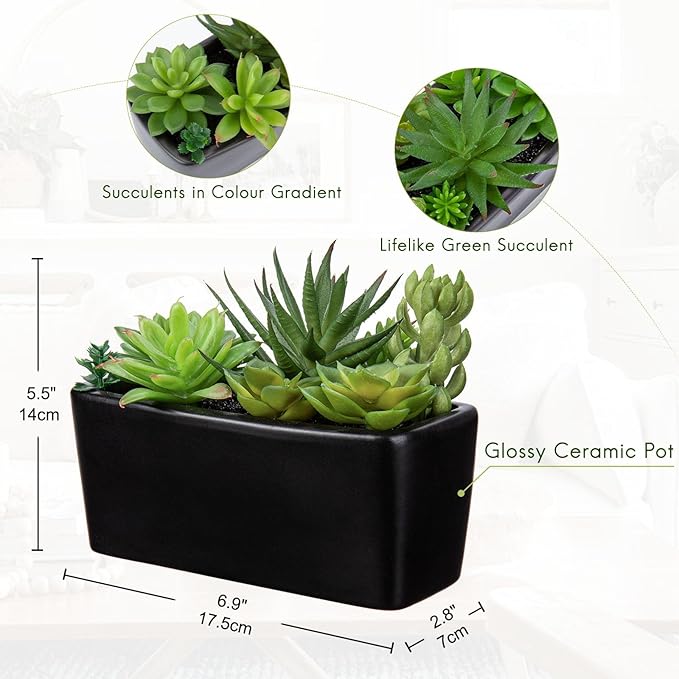 Artificial Succulents Plants in Ceramic Planter Assorted Faux Succulents in Pots Arrangement Fake Succulent Potted Plant for Home Office Desk Bathroom Shelf Living Room Indoor Outdoor Decor - White