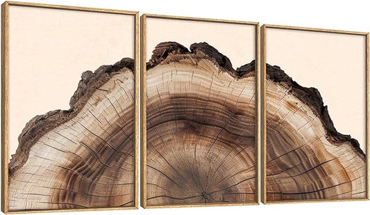 KAIRNE Framed Tree Ring Wall Art Set, Retro Wood Stump Wall Decor, Tree Spiral Wall Painting, Modern Nature Canvas Art Prints for Living Room, Bedroom, Dinning Room, Farmhouse - Large 16"x24"x3