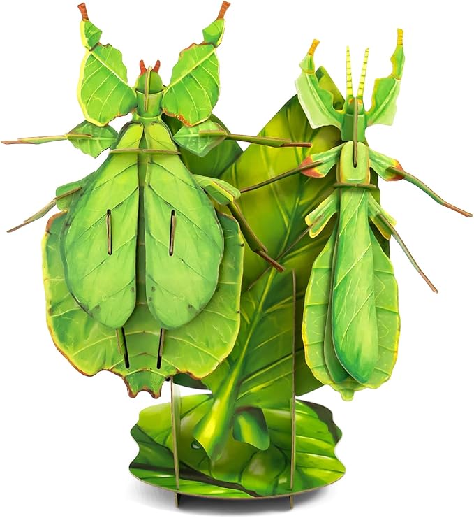 3D Paper Puzzle, Eco-Friendly Educational Learning Puzzles for Kids 7years+