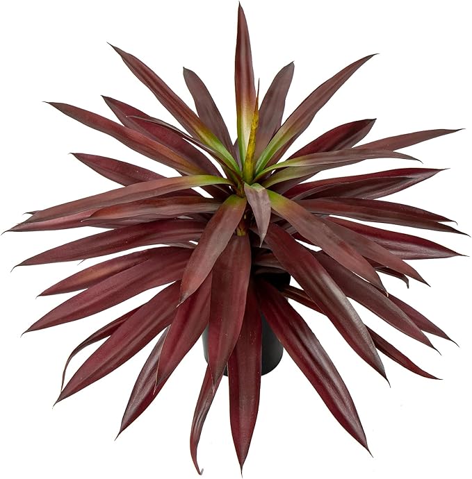Briful Large Fake Agave Plant 17.3 Inch Red Artificial Yucca Potted Plants Outdoor Faux Agave Plants for Home Room Office Garden Front Porch Patio Decoration