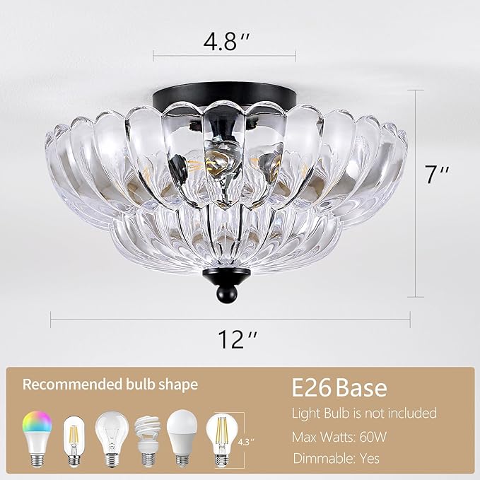 Modern Black Ceiling Light Fixture, 12" Clear Glass Flush Mount Chandeliers, Semi Flush Mount Ceiling Light Fixture Suitable for Living Room Hallway Kitchen Bedroom