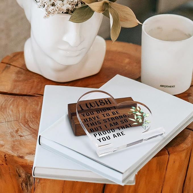 Inspirational Gifts for Women Best Friend Encouragement Cheer Up, BUT I AM SO PROUD THAT YOU ARE, Positive Gift for Daughter Son Sister, Home Office Decor Acrylic Sign Plaque XA326