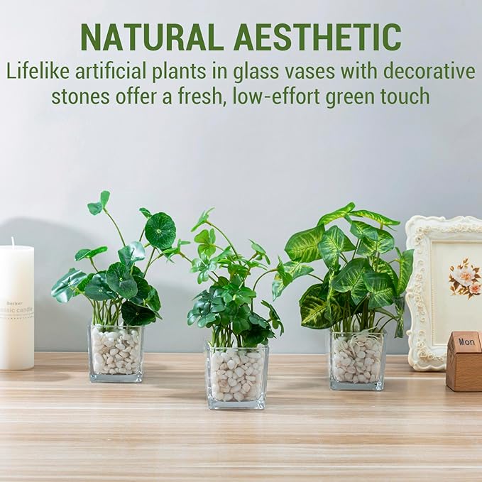 MyGift Artificial Clover and Taro Plants in Clear Glass Vase with Decorative White Stones, Set of 3