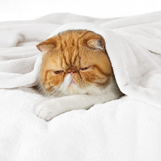 Bedsure GentleSoft Bedding Fleece Blanket for Girls and Boys - Soft Cozy Cute Small Throw Blankets for Travel, 43x55 Inches, White