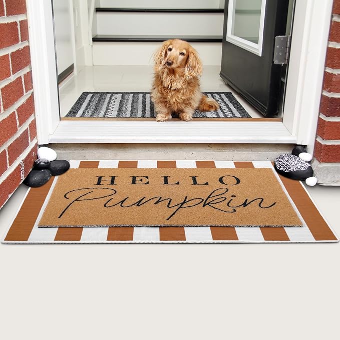 2 Pcs Door Mat Welcome Non Slip Coir Mats Floor Layering Doormats Seasonal for Front Porch Entryway Decor(Orange White)