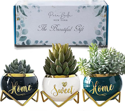 Housewarming Gifts: Best Home Essentials for New House - Farmhouse Living Room Decor | 3 Succulent Pots for Plant Lovers