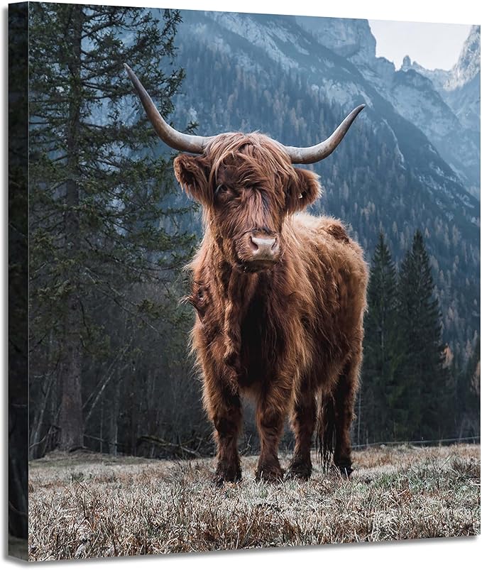 Scottish Highland Cow Canvas Picture - Rustic Farmhouse Wall Art Wild Nature Cattle Portrait Artwork for Living Room Bedroom Office