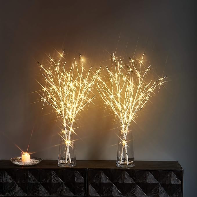 LITBLOOM Lighted White Twig Branches 32IN 100 LED with Timer Battery Operated, Artificial Tree Branch with Warm White Lights for Holiday Xmas Home Decoration Indoor Outdoor Decor