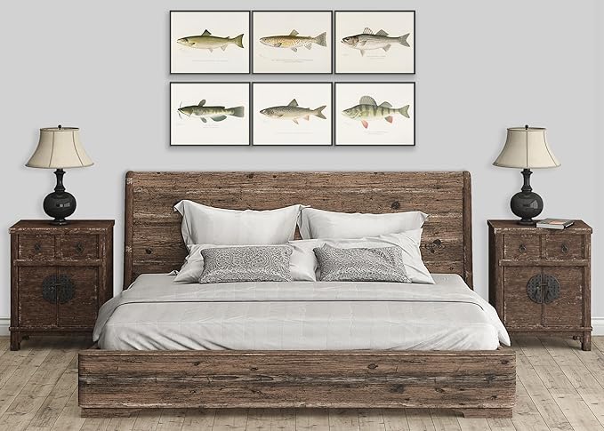 Fish Wall Art Prints (Set of 6) - Unframed - 11x14s | Vibrant and Captivating Oceanic Decor | Coastal-themed Wall Decor | Living Room Decor | Farmhouse Decor | Bathroom Wall Decor | Home Decor