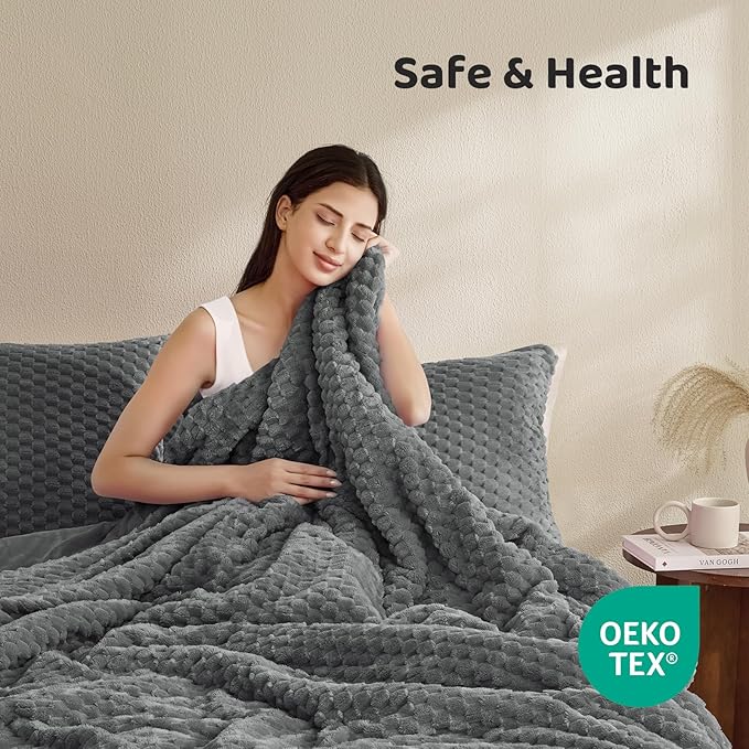 Petrichor Fluffy Queen Comforter Set - Ultra-Soft Gray Flannel Thick Comforter for Queen Bed, Luxury Warm Bedding Set for Winter & Fall, Cozy Fuzzy Bed Set 3 Pieces (1 Comforter & 2 Pillowcases)