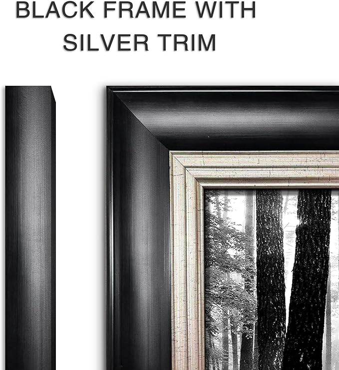 Black and White Forest Wall Art: Framed Tree Landscape Canvas Painting Modern Foggy Sunshine Scene Prints for Bedroom