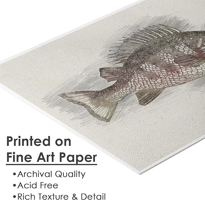 Fish Sketches Wall Art Prints (Set of 6) - 8x10s | Beautifully Detailed Aquatic Artwork for Home or Office Decor | Living Room Decor | Modern Wall Art | Kids' Room Decor | Bedroom Decor