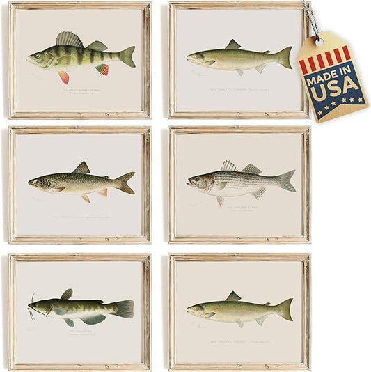 Fish Wall Art Prints (Set of 6) - Unframed - 11x14s | Vibrant and Captivating Oceanic Decor | Coastal-themed Wall Decor | Living Room Decor | Farmhouse Decor | Bathroom Wall Decor | Home Decor