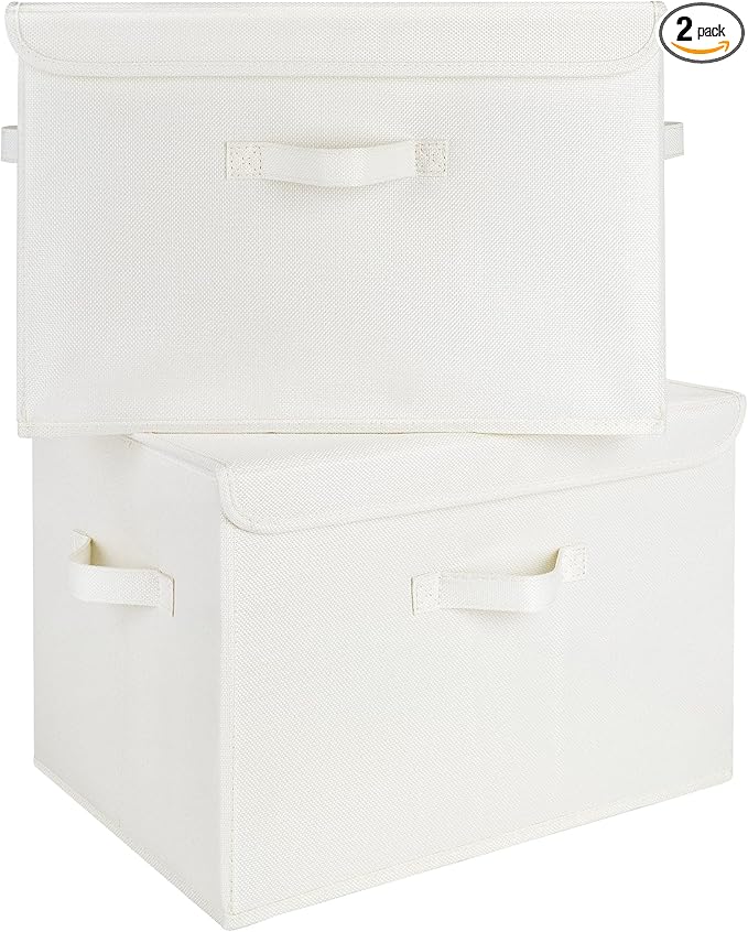 GRANNY SAYS Storage Boxes with Lids, Large Storage Bins with Lids, Decorative Box, Shelves Baskets, Clothes Storage and Organization, 2-Pack