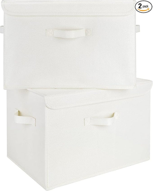 GRANNY SAYS Storage Boxes with Lids, Large Storage Bins with Lids, Decorative Box, Shelves Baskets, Clothes Storage and Organization, 2-Pack