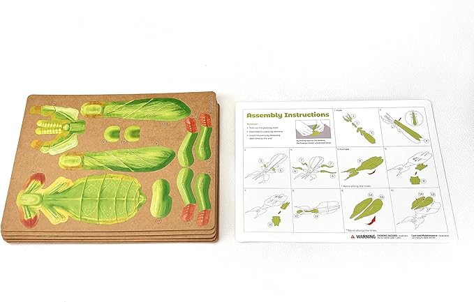 STEM 3D Paper Puzzles Fidget Toys and Sensory Toys for Kids and Toddlers - Autism and ADHD Educational Birthday Puzzles (Phyllium)