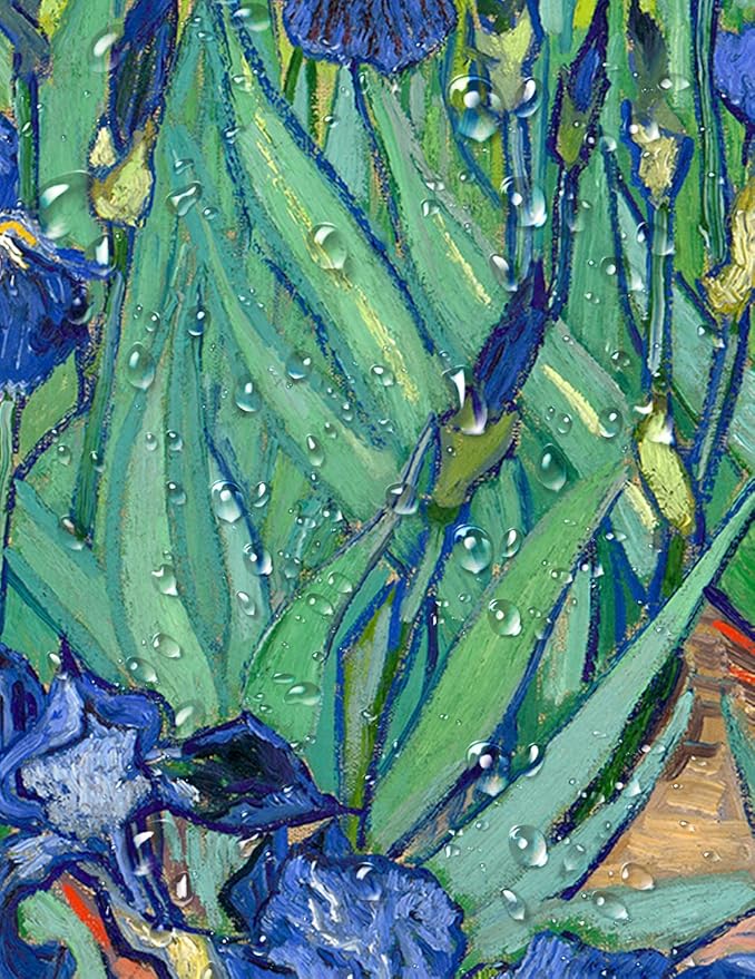 DECORARTS - Irises in the Garden, Vincent Van Gogh Art Reproduction. Giclee Canvas Prints Wall Art for Home Decor 30x24