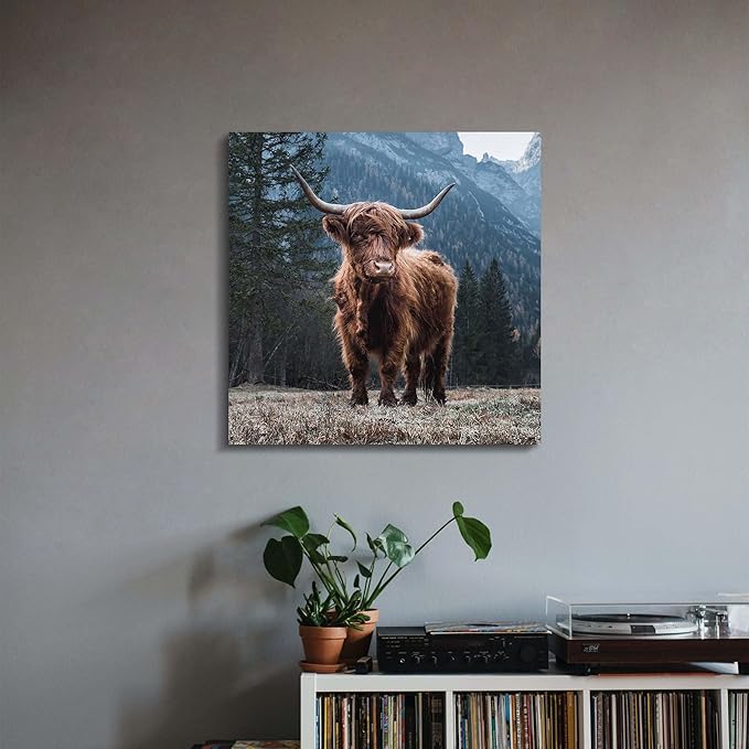 Scottish Highland Cow Canvas Picture - Rustic Farmhouse Wall Art Wild Nature Cattle Portrait Artwork for Living Room Bedroom Office