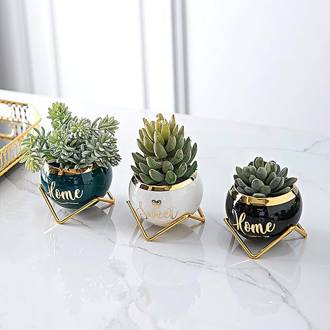 Housewarming Gifts: Best Home Essentials for New House - Farmhouse Living Room Decor | 3 Succulent Pots for Plant Lovers