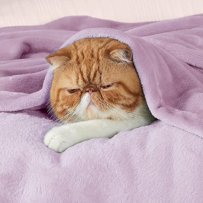 Bedsure GentleSoft Fleece Blanket Twin Size Lilac - 300GSM Lightweight Plush Fuzzy Cozy Soft Warm Blanket for Bed, Sofa, Couch, Travel, Camping, 60x80 inches