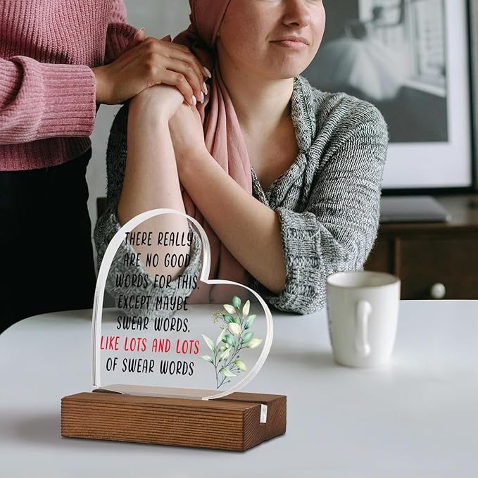 Humor Encouragement Get Well Gift for Him Her,THERE REALLYARE NO GOWORDS FOR THIS.EXCEPT MAYBE, Home Office Decor Acrylic Sign Plaque XA328