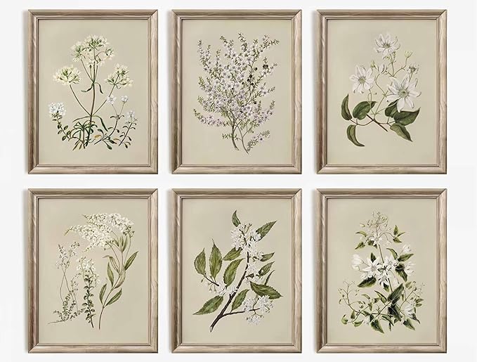 6 PCS Neutral Floral Canvas Wall Art Vintage Rustic Farmhouse Flower Botanical Painting Picture Wall Decor Poster Print Artwork for Living Room Bedroom Home Decoration Unframed