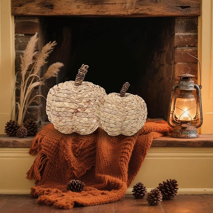 winemana 2 Pack Pumpkin Fall Decor Thanksgiving Decorative Pumpkins for Home Woven Cattail Figurines Farmhouse Autumn Decorations Fall Centerpieces for Table Porch Mantel Indoor (Beige)