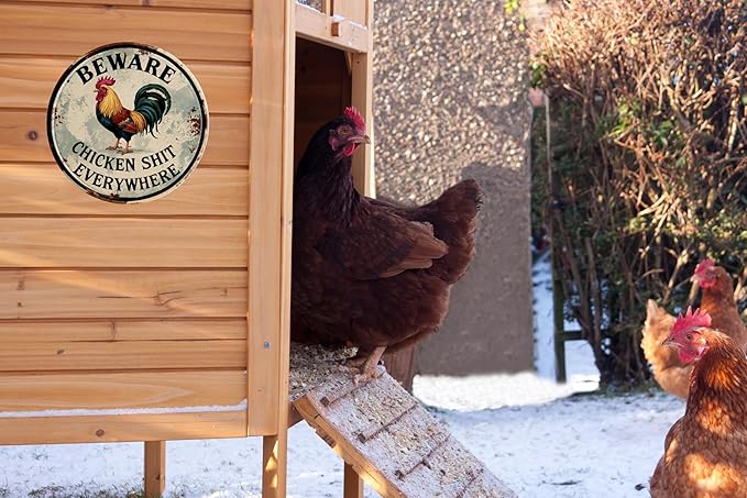 Chicken Decor Vintage Beware Chicken Shit Everywhere Rooster Wall Art Rustic Farmhouse Decor for Restaurants & Home Wall Mounted Vintage 8x8 In