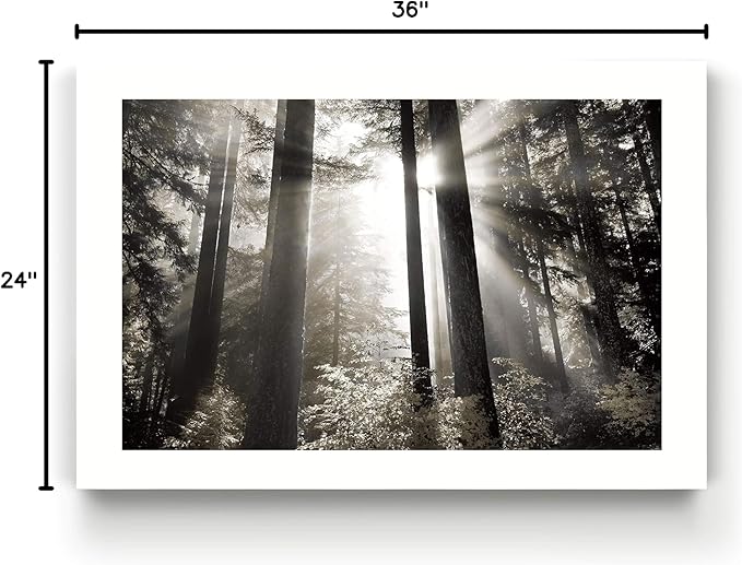Renditions Gallery Canvas Nature Wall Art Landscape View of Morning Light coming through Forest Trees Modern Artwork for Living Room Kitchen Walls - 24"X36" LT08